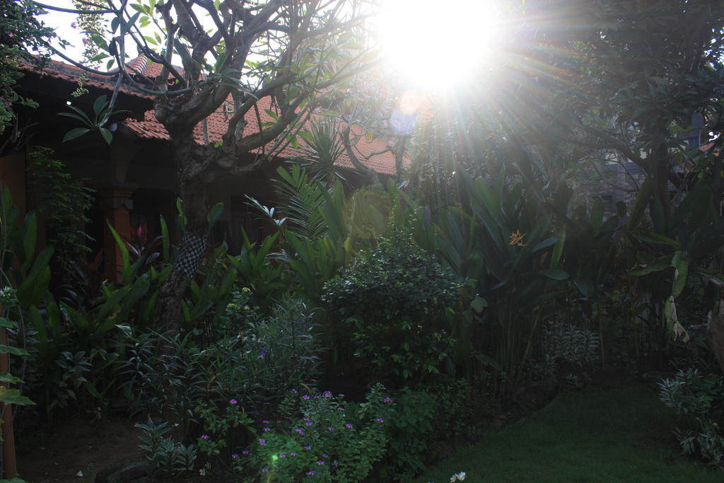 Cleopatra Beach Bungalows Hotel Lovina Exterior foto