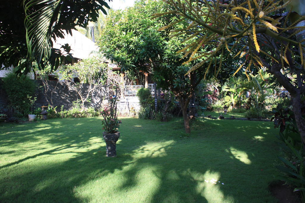 Cleopatra Beach Bungalows Hotel Lovina Quarto foto